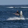 Fuerteventura 2011
